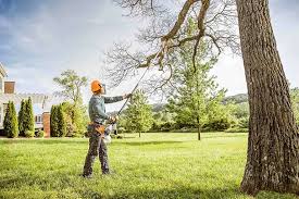 Marshville, NC Tree Care Company