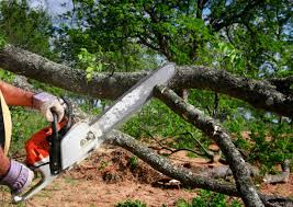 Best Lot and Land Clearing  in Marshville, NC